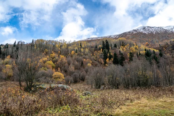 秋の森と高い山の間の渓谷を歩くと — ストック写真