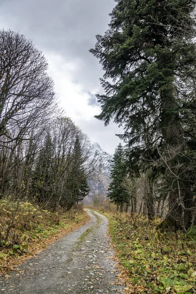 Paseo Por Desfiladero Montaña Dombai Ulgen Día Nublado Otoño — Foto de Stock