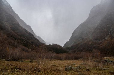 Ekim bulutlu bir günde Karachay-Çerkessia 'daki Dombai-Ulgen dağ geçidi boyunca bir yürüyüş