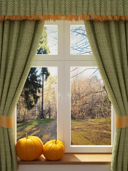 Window with pumpkins a beautiful view — Stock Photo, Image