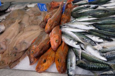 Mackerel, gurnard ve dil balığı bir balıkçının tezgahında. 