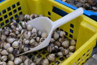 Plastik bir tepside plastik bir kürekle taze midyeler.