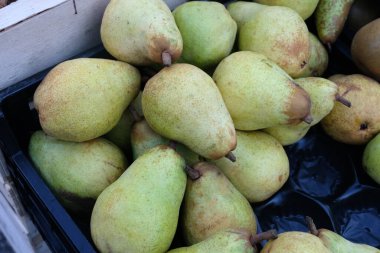 Olgun Williams armutları yakın. 