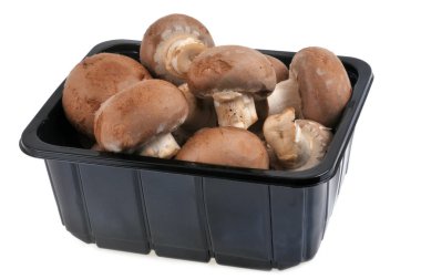 Beyaz arka planda izole edilmiş kahverengi düğmeli mantar konteynırı 