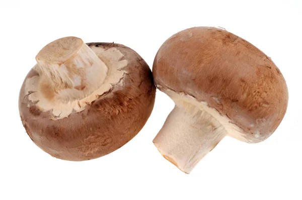 Rauwe Bruine Knopchampignons Geïsoleerd Witte Achtergrond — Stockfoto