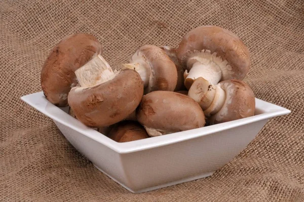 Cogumelos Botão Marrons Crus Ramekin Close Serapilheira — Fotografia de Stock