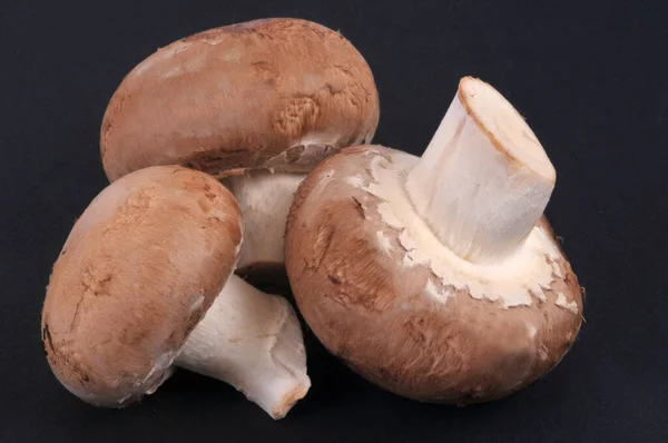 Cogumelos Botão Marrom Cru Isolado Fundo Preto — Fotografia de Stock