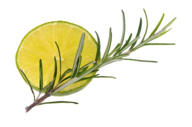 Beyaz arka planda limon dilimi ve biberiye filizi yakın plan