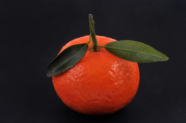 Tangerine Its Leaves Close Black Background — Stock Photo, Image