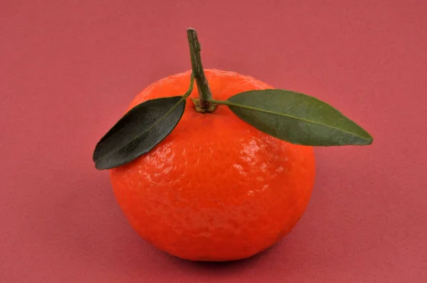 Tangerine Dengan Daun Close Latar Belakang Merah — Stok Foto