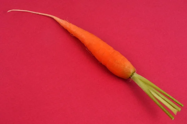 Organic Raw Carrot Close Red Background — Stock Photo, Image