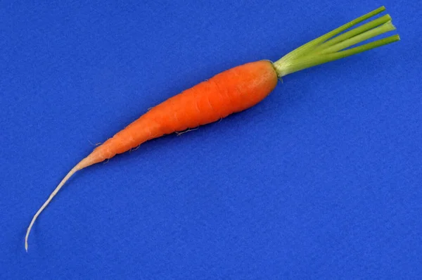 Organic Raw Carrot Close Blue Background — Stock Photo, Image