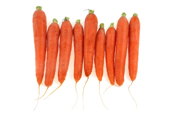 Organic Raw Carrots Lined Close White Background — Stock Photo, Image