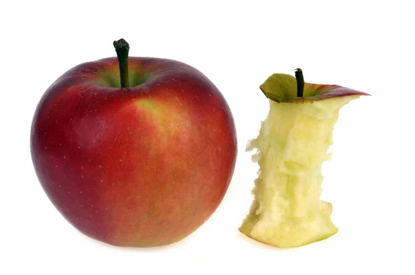 Beyaz Arka Planda Tam Elma Elma Çekirdeği — Stok fotoğraf
