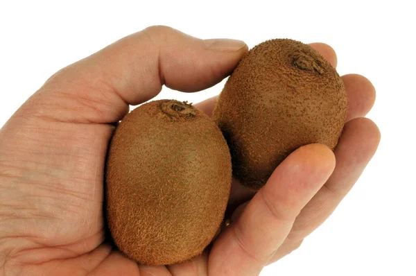 Owoc Kiwi Dłoni Zbliżenie Białym Tle — Zdjęcie stockowe