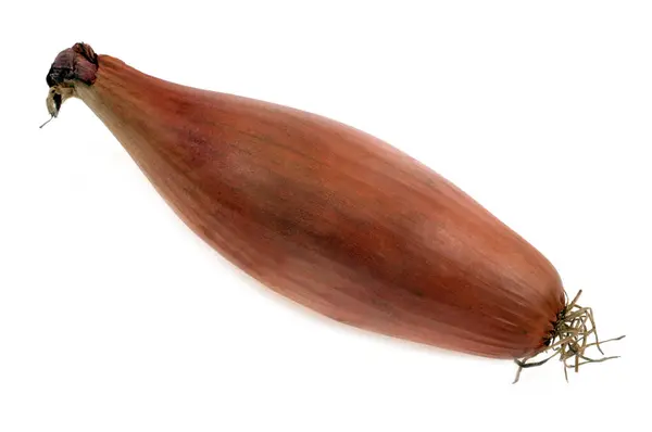 Shallot Närbild Vit Bakgrund — Stockfoto