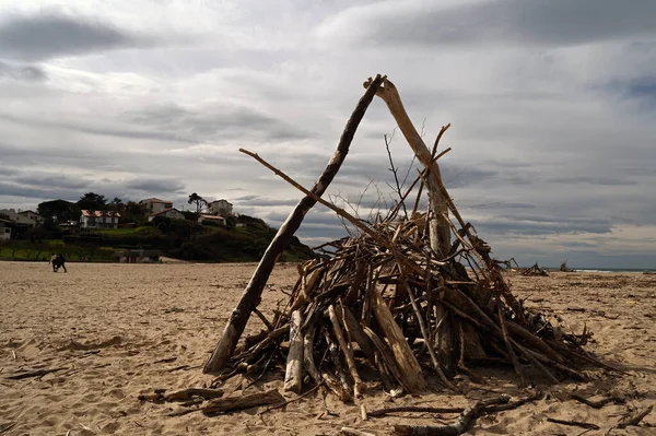 Купа Деревини Пляжі Ухабії Бідарті Піренеї — стокове фото