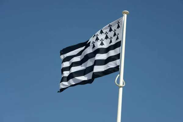 Drapeau Bretagne Flottant Dans Vent — Photo