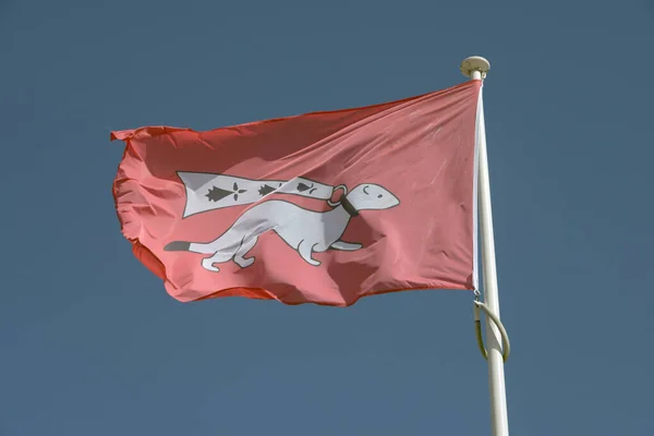 Drapeau Ville Vannes Avec Une Hermine Sur Fond Rouge — Photo