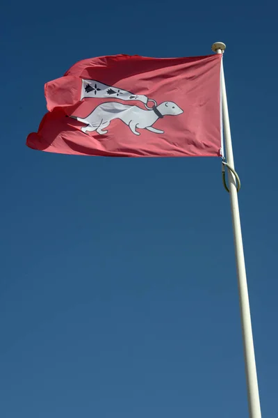 红色背景上有地雷的凡尼斯市的旗帜 — 图库照片