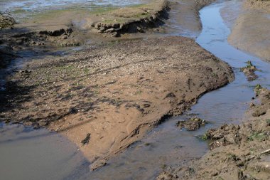 Deniz kenarındaki çamur ve su damlaları