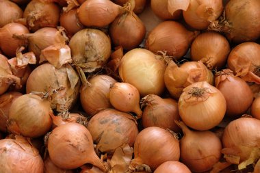 Pazar yerinde beyaz soğan 