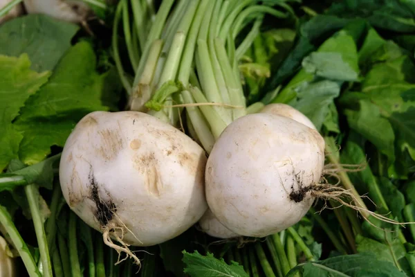 Navets Crus Biologiques Sur Stand Marché — Photo