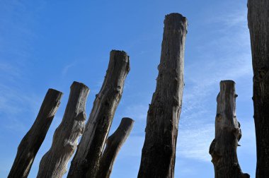 Saint-Malo 'daki Eventail plajında dalgaksu. 