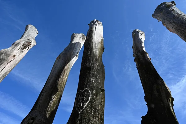 Saint-Malo 'daki Eventail plajında dalgaksu.