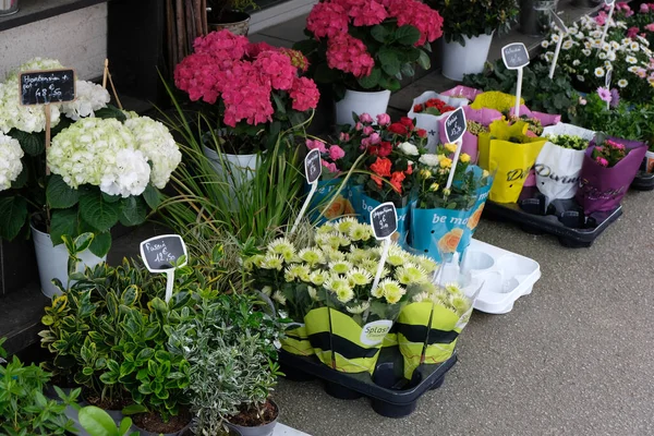 Storefront Kwiaciarni Francji — Zdjęcie stockowe