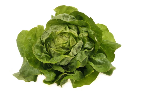 Bio Salat Aus Nächster Nähe Auf Weißem Hintergrund — Stockfoto