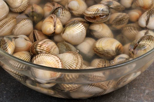 Cockles Sboccatura Una Insalatiera Primo Piano — Foto Stock