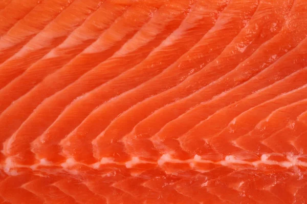 Raw Trout Fillet Close — Stock Photo, Image