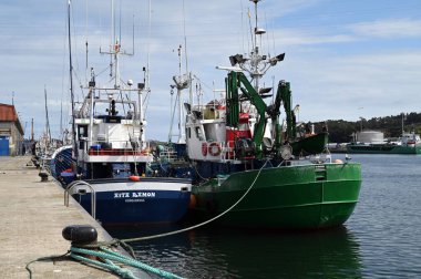 İspanya 'daki Aviles limanına demirlemiş balıkçılar.