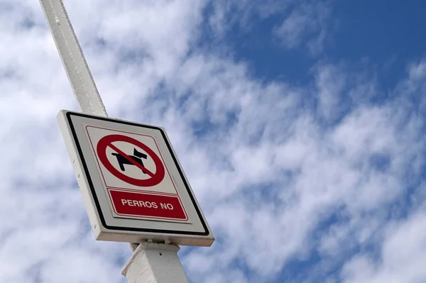Дорожный Знак Запрещающий Доступ Собакам — стоковое фото