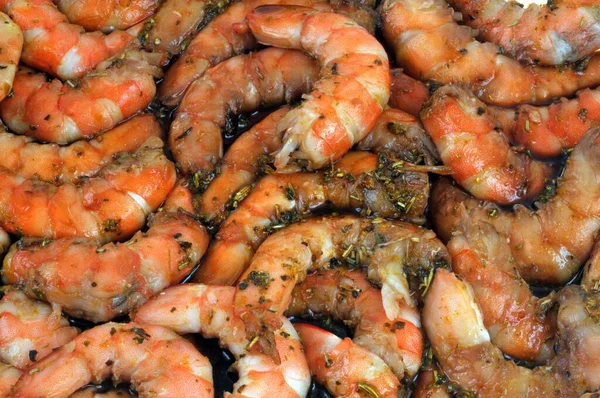 Crevettes Dans Gros Plan Marinade — Photo