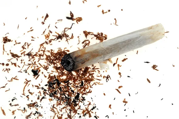 Cigarette Butt Tobacco Close White Background — 스톡 사진