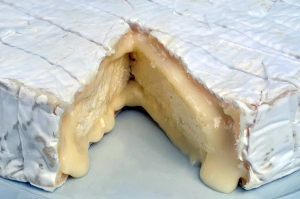 Stromende Camembert Startte Close — Stockfoto