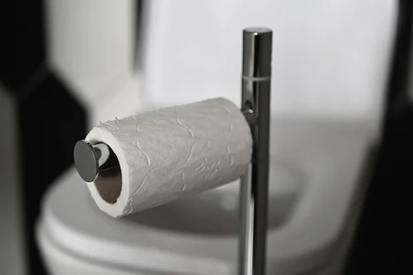 Roll Toilet Paper Its Holder Close — Stock Photo, Image