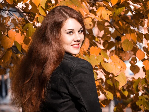 Chica en madera de otoño mirando a la cámara — Foto de Stock