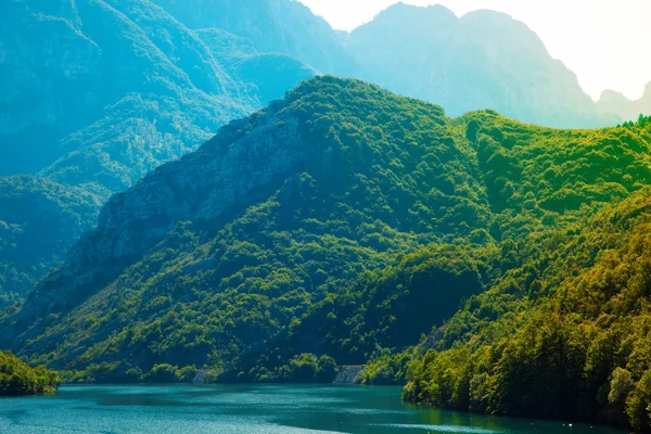 Montagne ricoperte di alberi pulito il fiume — Foto Stock