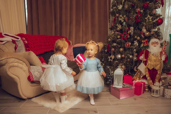 Deux Petites Filles Tout Petits Avec Arbre Noël Par Derrière — Photo