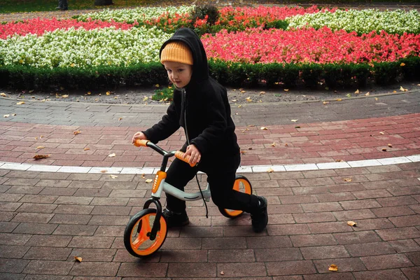 Cutie Menina Passeios Bicicleta Parque Outono — Fotografia de Stock