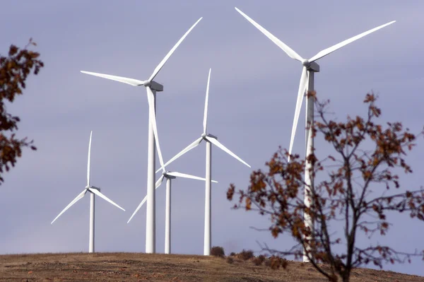 Aerogenerators — Stock Photo, Image