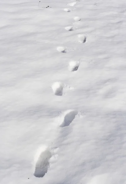 Impronte di piedi neve — Foto Stock