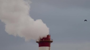 Gaz ve yakıtla ısıtılan bacadan çıkan duman ve ısıtma tesisi..