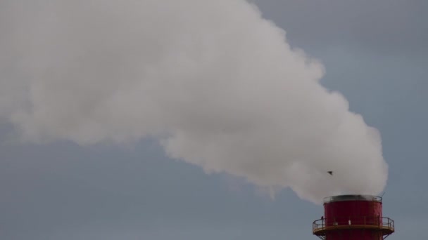 Gaz Yakıtla Isıtılan Bacadan Çıkan Duman Isıtma Tesisi — Stok video