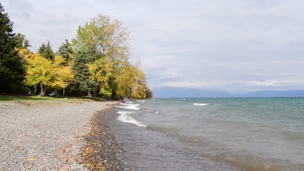 Ufer Eines Sees Bäume Herbstfarben Wachsen Neben Dem Wasser Große — Stockvideo