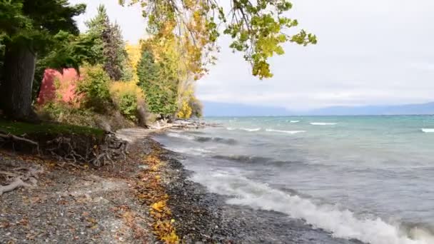 Ufer Eines Sees Bäume Herbstfarben Wachsen Neben Dem Wasser Große — Stockvideo