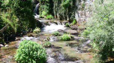 Bir dağ deresinin suları hızla büyük kaya ve kayalarla dolu bir nehir yatağının içinden akar ve yeşilliklerle çevrilidir..